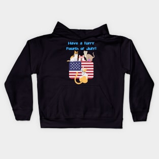 Have a Furry Fourth of July Independence Day Patriotic Animal Cat Dog Lover Gifts Kids Hoodie